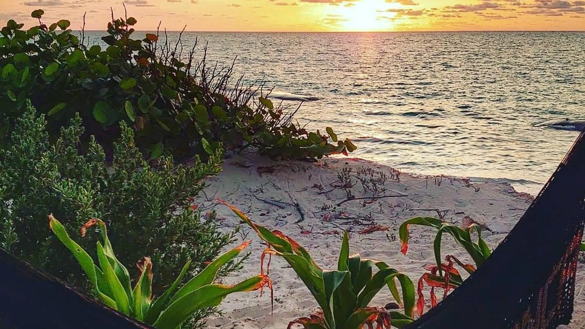 别墅 Perfect Beach Location For Families And Weddings 坎昆
